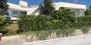 صور العرض