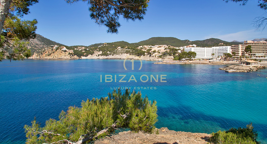 Foto van het vastgoed