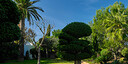 Foto dell'oggetto