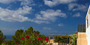 صور العرض