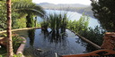 Photos of the property