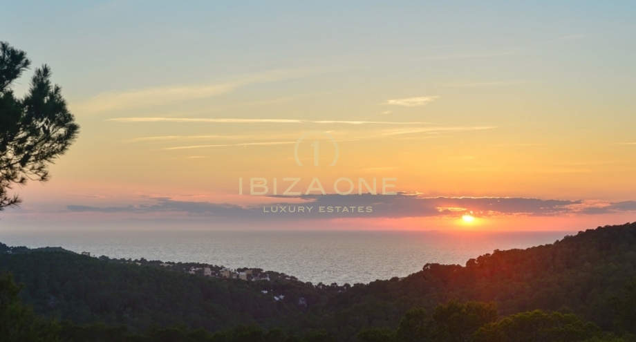 Photos of the property