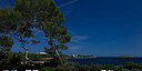 Foto dell'oggetto