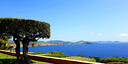 Foto dell'oggetto