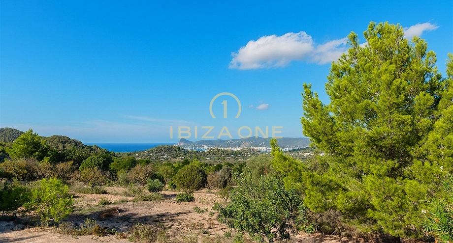 Photos of the property