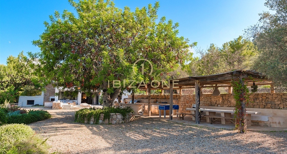 Photos of the property