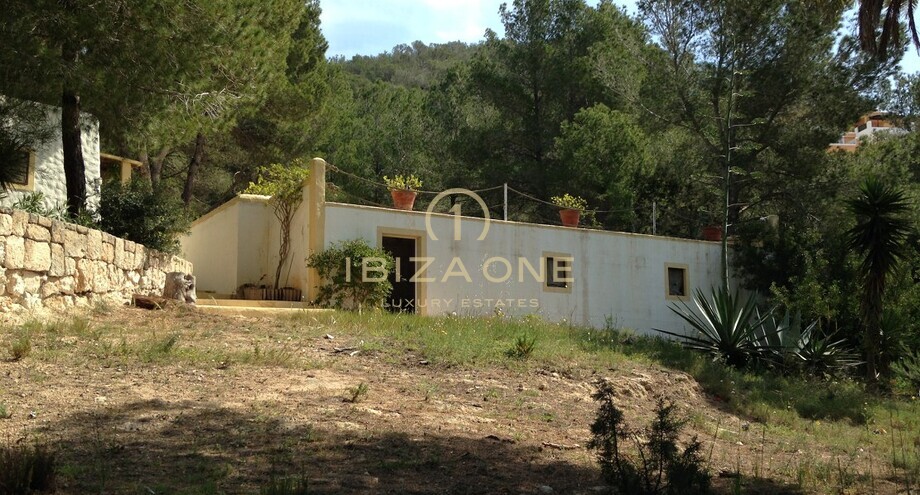 Foto dell'oggetto