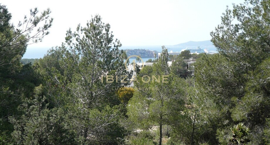 Foto dell'oggetto