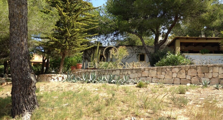 Foto dell'oggetto