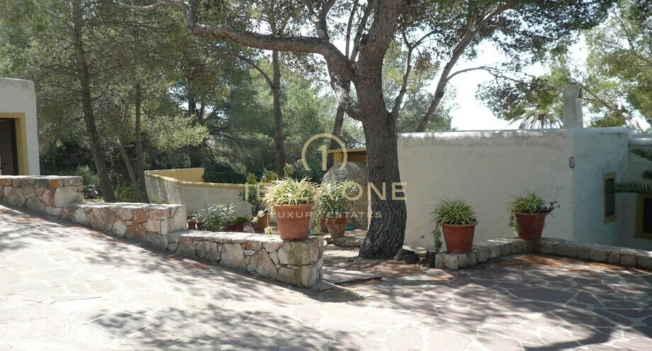 Foto dell'oggetto