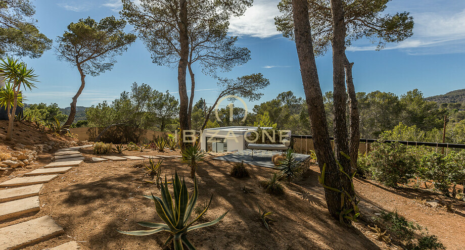 Photos of the property