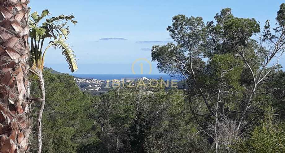 Photo de l'objet