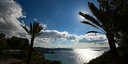 Foto dell'oggetto
