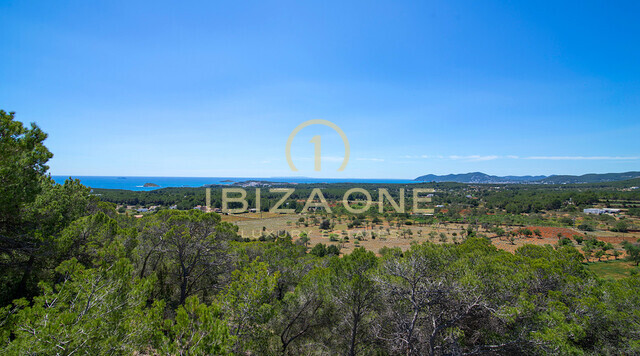 Luxe woning met hoofdgebouw en drie gastenappartementen te koop, Ibiza - Luxe woning met hoofdgebouw en drie gastenappartementen te huur, Ibiza