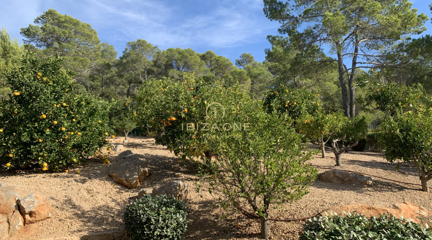 Villa de luxe moderne au coucher du soleil à louer, Ibiza