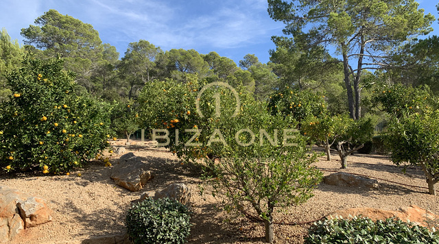 Moderne luxe zonsondergangvilla te huur, Ibiza