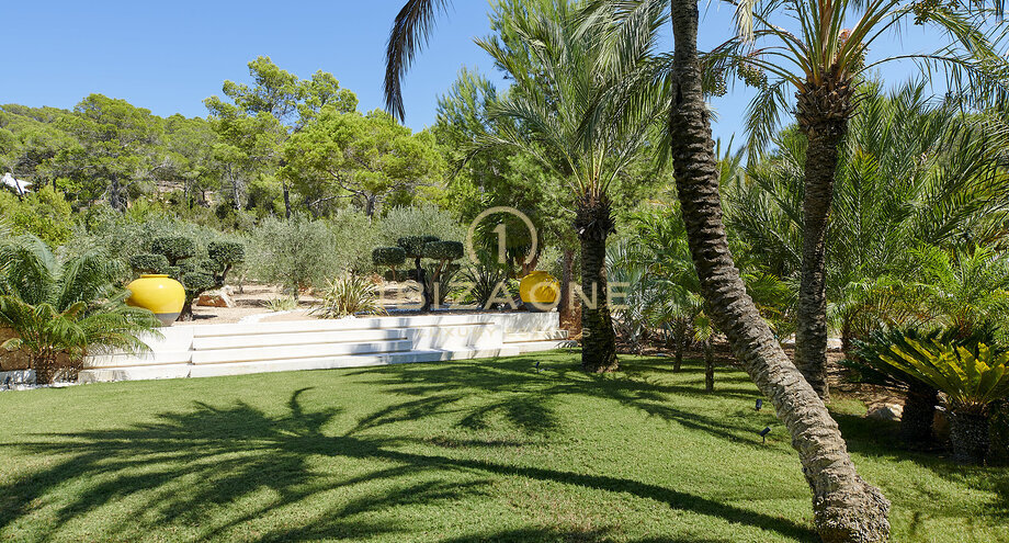 Photos of the property
