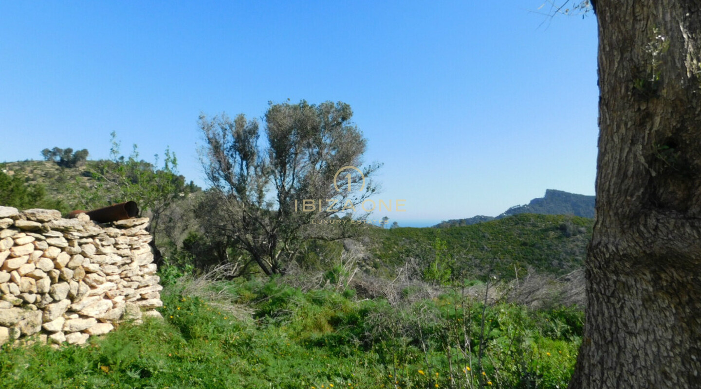 Spacious plot with old Ibiza Finca and sea view for sale, Ibiza - Spacious plot with old Ibiza Finca and sea view for rent, Ibiza