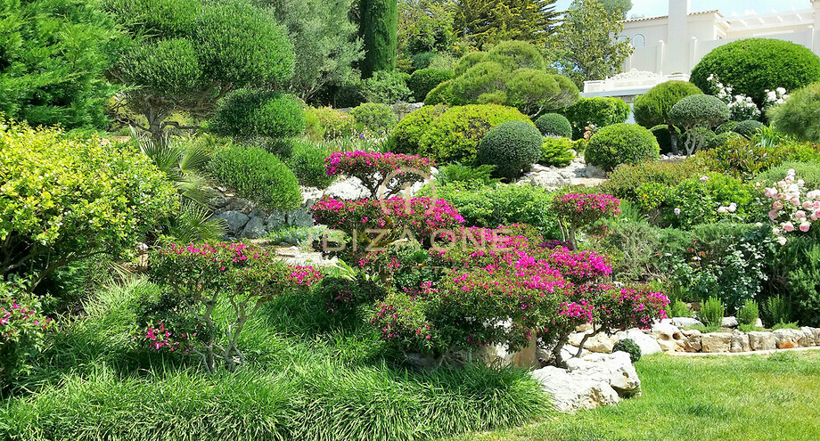 Фотографии объектов недвижимости