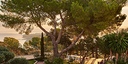 Foto dell'oggetto