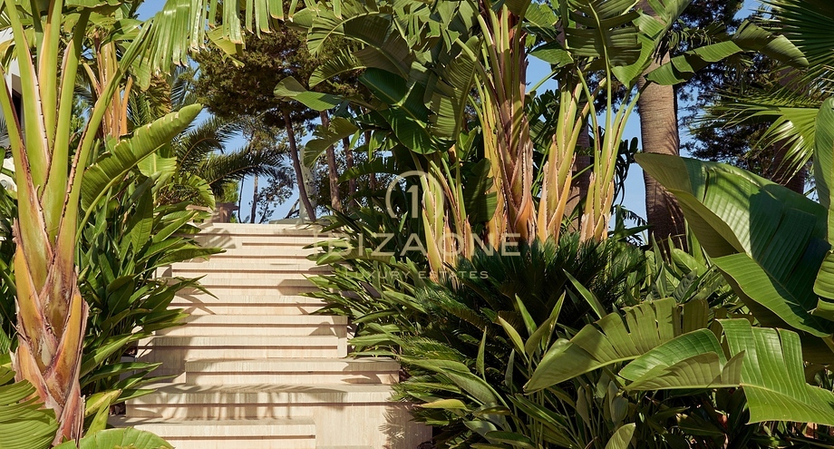 Fotos de la propiedad