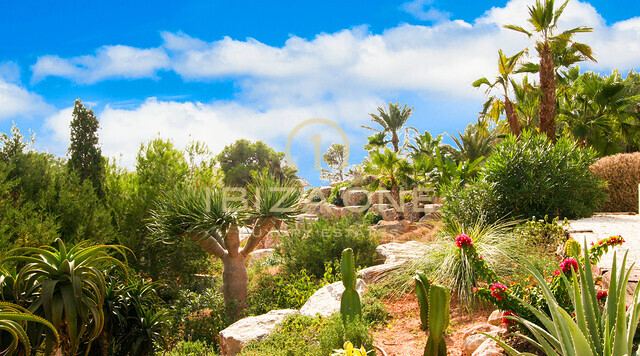 Villa de luxe avec très belle vue sur la mer à vendre à Es Cubells / Vista Alegre et à louer, Ibiza - Villa de luxe avec très belle vue sur la mer à vendre à Es Cubells / Vista Alegre et à vendre, Ibiza