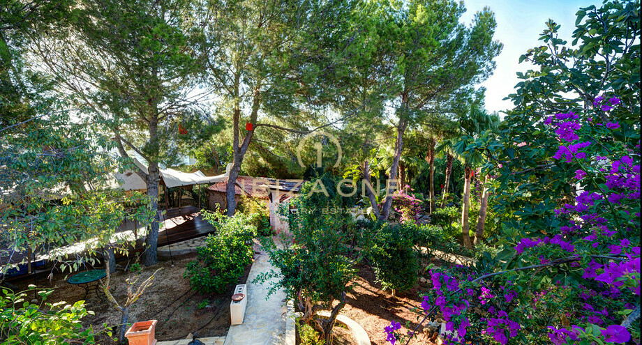 Fotos de la propiedad