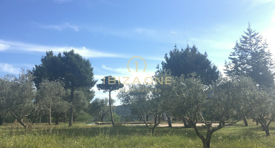 Foto van het vastgoed