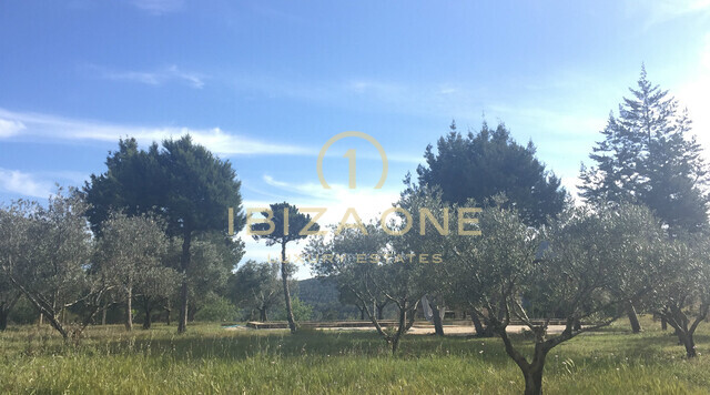 Luxe en authentieke, originele finca met hoofdhuis en twee gastenverblijven nabij Ibiza te koop, Ibiza - Luxe en authentieke, originele finca met hoofdhuis en twee gastenverblijven nabij Ibiza te huur, Ibiza