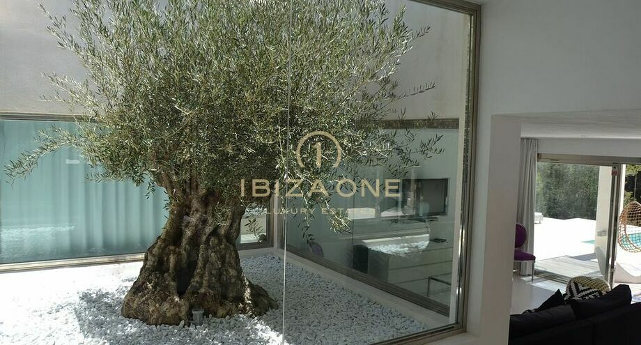 Фотографии объектов недвижимости