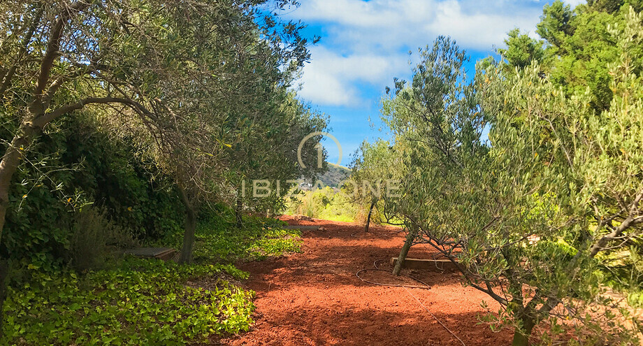 Photos of the property