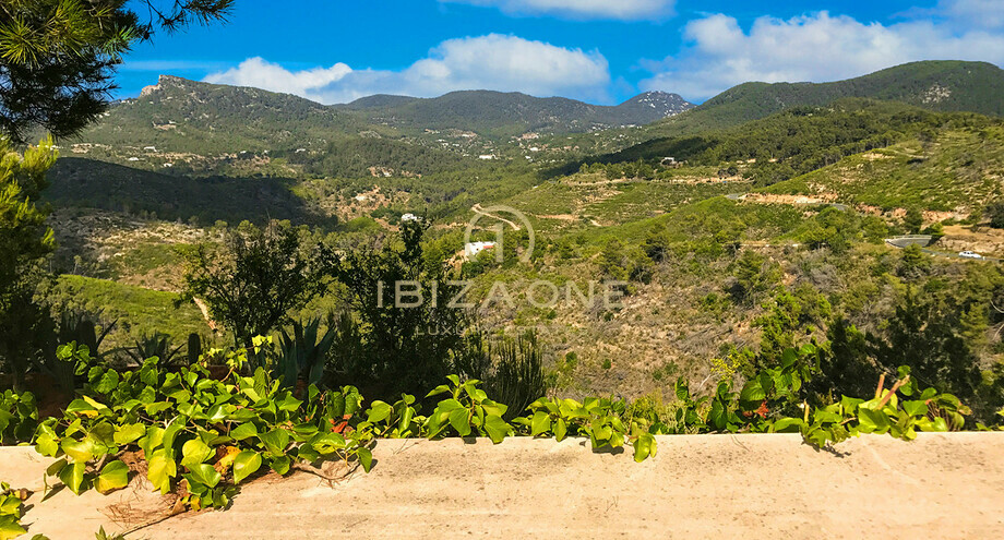 Photos of the property