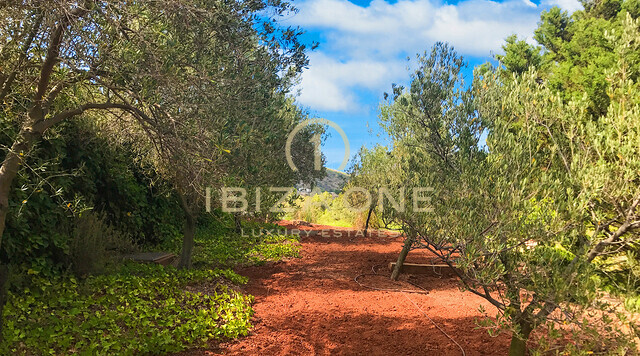 Luxe en originele Blakstad Finca in het noorden van Ibiza met uitzicht op zee en land te koop, Ibiza - Luxe en originele Blakstad Finca in het noorden van Ibiza met uitzicht op zee en land te huur, Ibiza