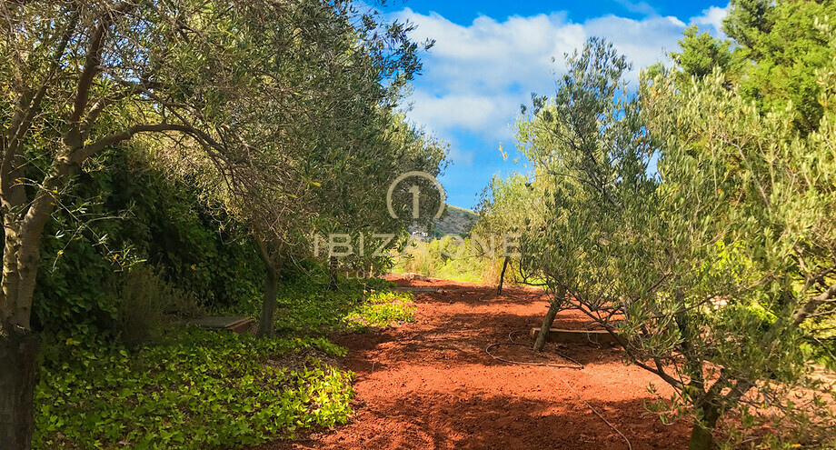 Photos of the property