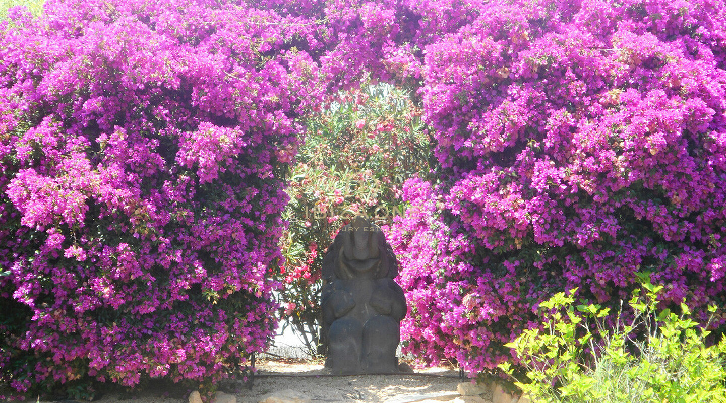 Luxe villa te koop, Ibiza - Luxe villa te huur, Ibiza