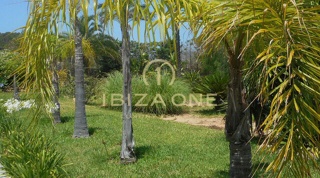 Luxury villa for sale, Ibiza - Luxury villa for rent, Ibiza