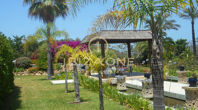 Luxusvilla zu verkaufen, Ibiza – Luxusvilla zu vermieten, Ibiza