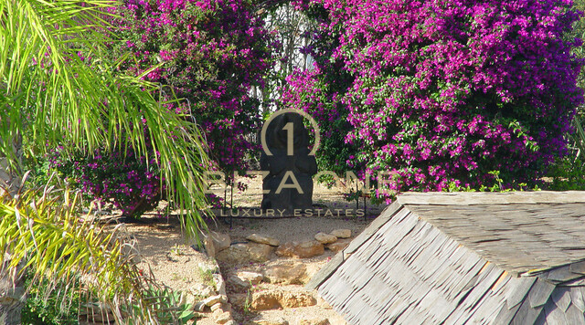 Villa de lujo en venta en Ibiza - Villa de lujo en alquiler en Ibiza