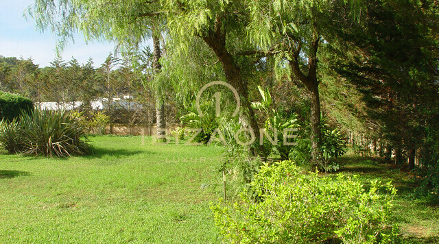 Villa de lujo en venta en Ibiza - Villa de lujo en alquiler en Ibiza
