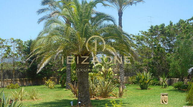 Villa de luxe à vendre, Ibiza - Villa de luxe à louer, Ibiza