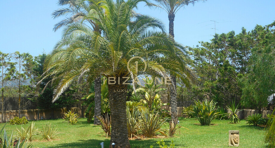 Foto van het vastgoed