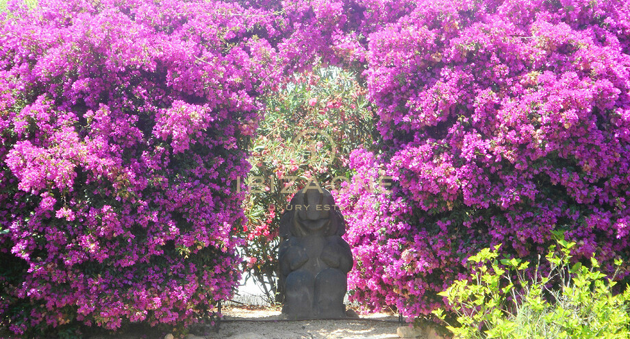 Photos of the property