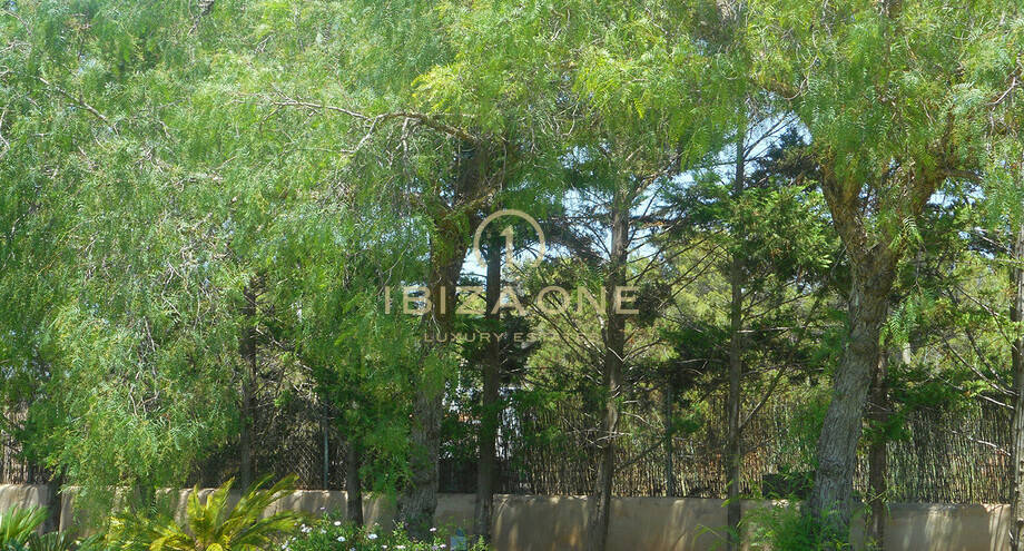 Photos of the property