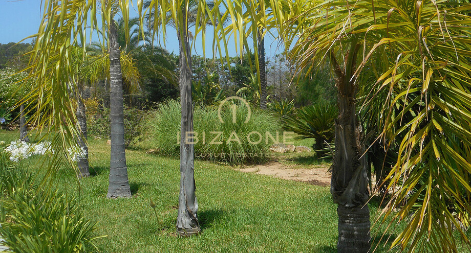 Photos of the property