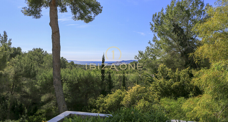 Photos of the property