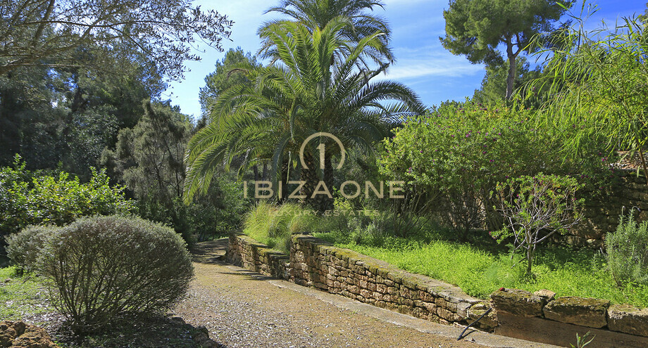 Fotos de la propiedad