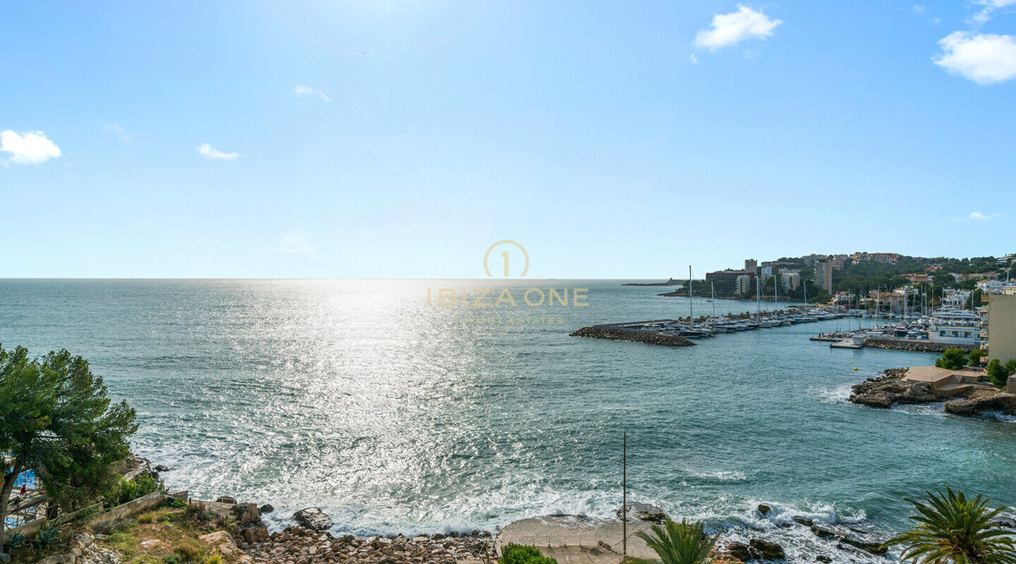 Appartamento di lusso in prima linea sul mare con accesso al mare in vendita, Ibiza - Appartamento di lusso in prima linea sul mare con accesso al mare in affitto, Ibiza
