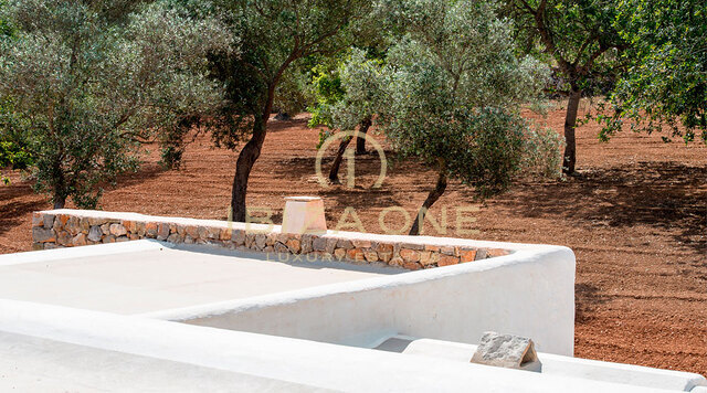 Beautiful luxury original Finca from the 17th century very high quality renovated with large fertile land for sale, Ibiza - Beautiful luxury original Finca from the 17th century very high quality renovated with large fertile land for rent, Ibiza