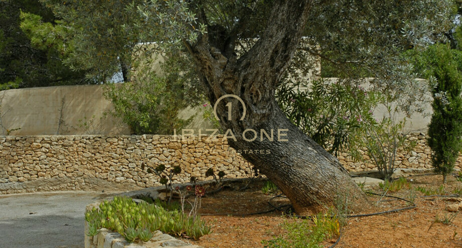 Foto dell'oggetto