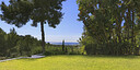 Foto dell'oggetto